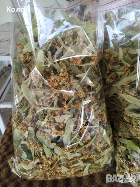 Сушен липов цвят - реколта 2025 г., снимка 1
