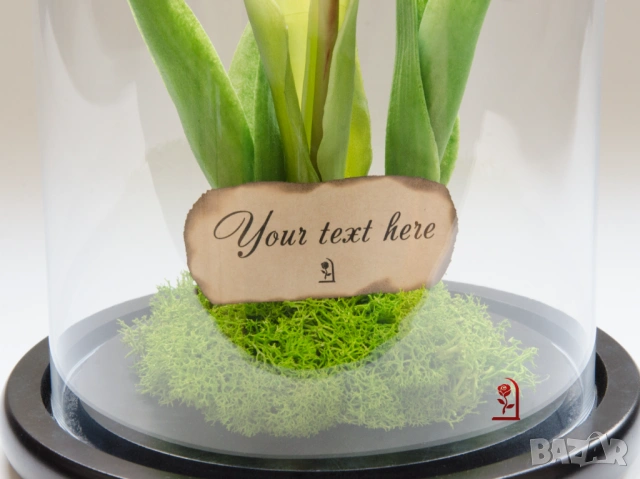 Вечни Лалета в Стъкленица със Скандинавски Мъх / Подарък за Рожден Ден на Жена / Подарък за Имен ден, снимка 5 - Подаръци за жени - 54055776