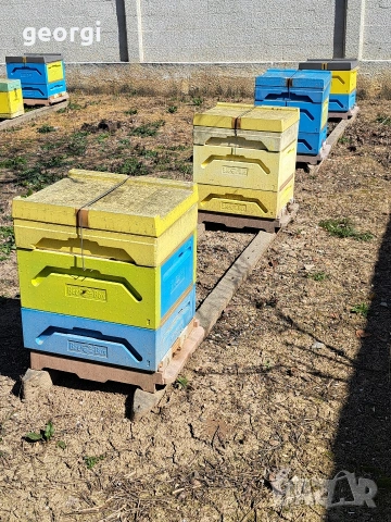 продавам полистиролни кошери ЛР с пчели , снимка 2 - За пчели - 53824243