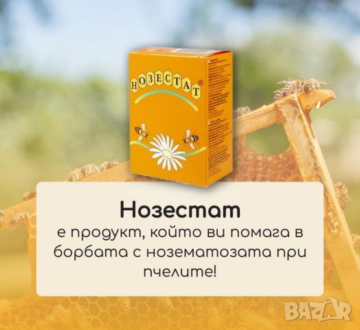 Нозестат - срещу нозематоза по пчелите без антибиотик, снимка 1 - За пчели - 45248694