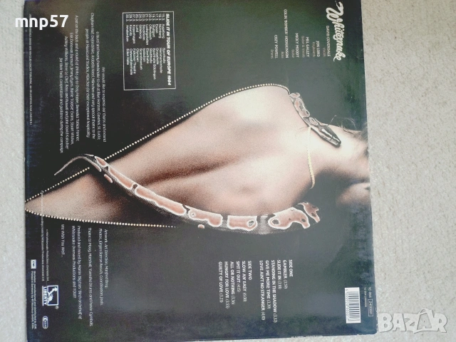 Грамофонни плочи Whitesnake u Rainbow , снимка 5 - Грамофонни плочи - 53875048