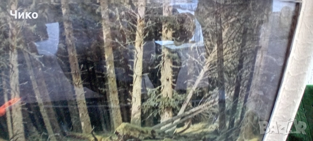 Голяма картина добре рамкирана и остъклена, снимка 2 - Картини - 51809834