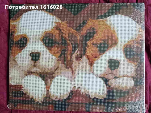 Нов голям диамантен Гоблен опънат на платно - картина,"Двете кученца"., снимка 7 - Гоблени - 50648513
