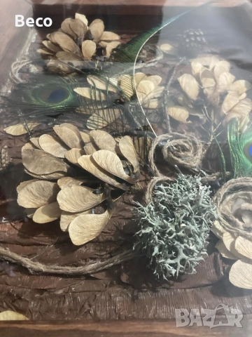 картина от растения 