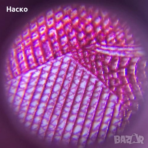 Джобен мини микроскоп 60X увеличение 3 LED, снимка 4 - Нумизматика и бонистика - 53441807