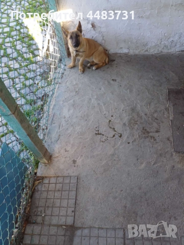 Продавам или заменям 