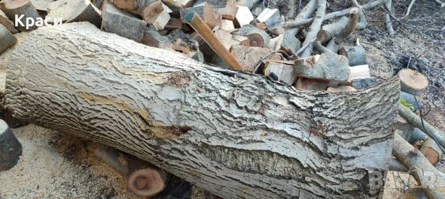 Дървен материал орех обелен