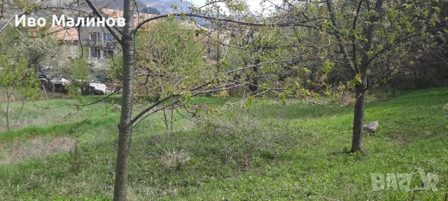 Продавам парцел в регулация , снимка 5 - Парцели - 46527339