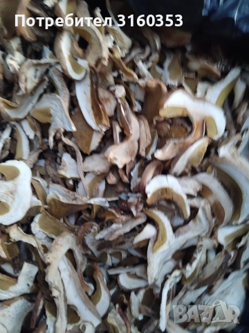 Сушени манатарки