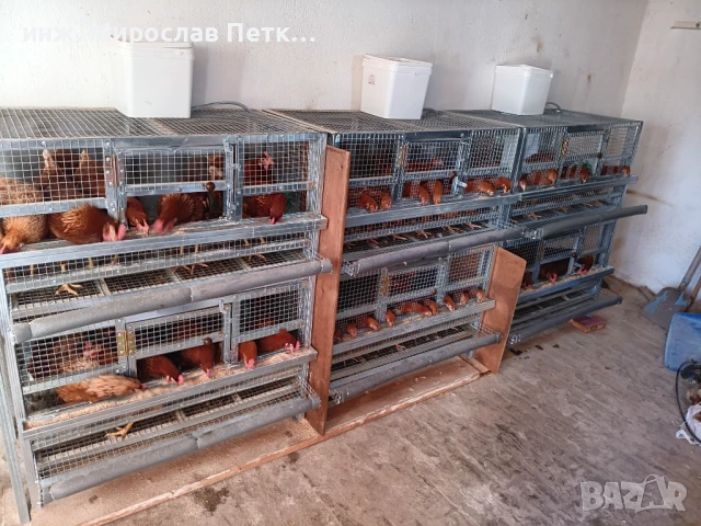 Клетки за кокошки , снимка 1
