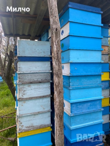 Магазини с изградени рамки, пчеларски