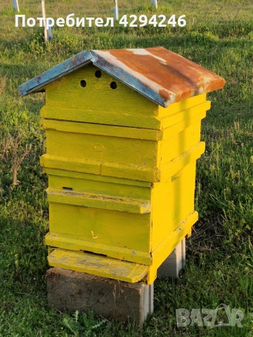 Пчелни кошери , снимка 3 - За пчели - 54136099
