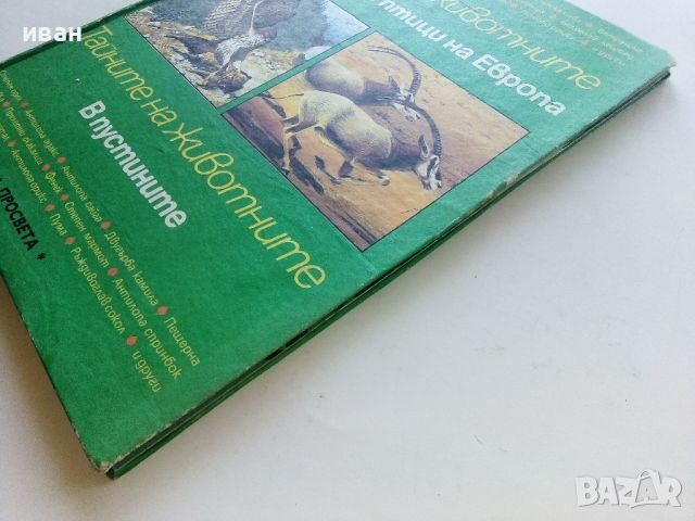 Тайните на животните - Грабливите птици на Европа/В пустинята  - 1990г., снимка 11 - Енциклопедии, справочници - 45622704