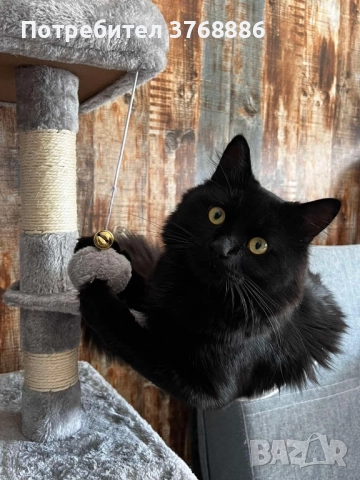 Катерушка за котка 150 см висока, снимка 10 - За котки - 51642200