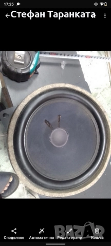 мидбасов говорител 