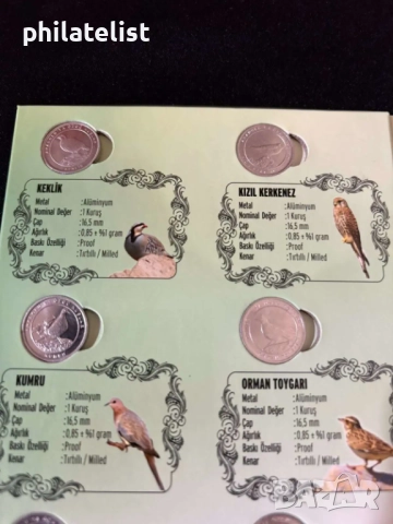Турция 2020 – Комплектен сет от 12 монети по 1 куруш - Фауна – Птици , PROOF, снимка 3 - Нумизматика и бонистика - 52002985