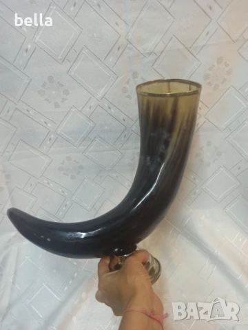 Огромен фирмен рог от Кейптаун - Eichholtz монтиран върху никелирана основа -височина 28 см дължина , снимка 7 - Антикварни и старинни предмети - 50575804