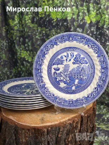 Чинии, снимка 1