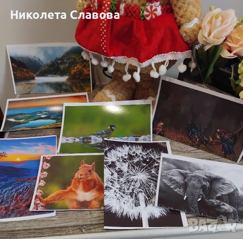 📸 СПЕЦИАЛНА ОФЕРТА 10х15 - 4€