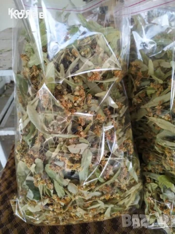 Сушен липов цвят - реколта 2025 г.