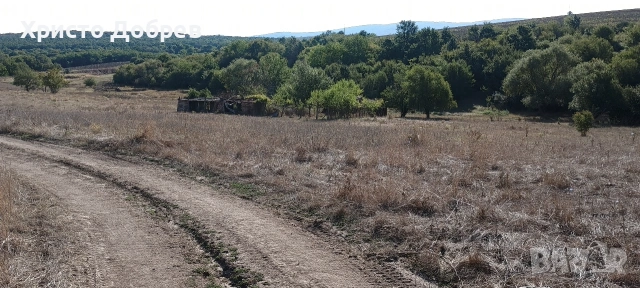 парцел 500 кв.м.в с.Твърдица-Бургас, снимка 4 - Парцели - 53636103