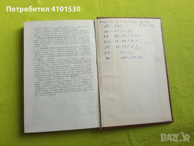 Реперториум по анатомия, снимка 4 - Специализирана литература - 48960840