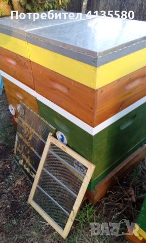 Кошери-ДБ10ки, нови, за добив на прашец и клей, и подвижно пчеларство., снимка 15 - За пчели - 46276356
