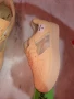 Дамски кецове , снимка 2