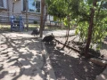 токачки , снимка 2