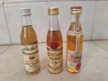 Мини бутилки от миналото , снимка 1