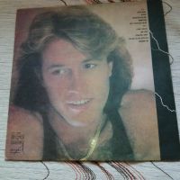 Andy Gibb - After Dark, снимка 3 - Грамофонни плочи - 45401747