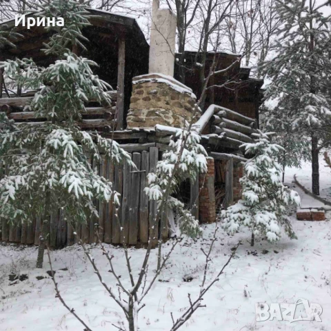 Къща, пчелин и двор с големи дървета, снимка 9 - Парцели - 51394109