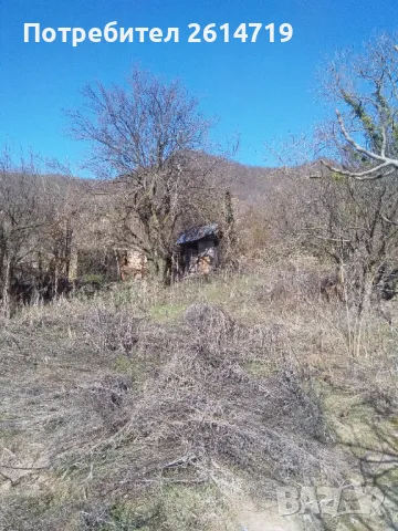 Селска къща близо до Севлиево, снимка 4 - Къщи - 49156583