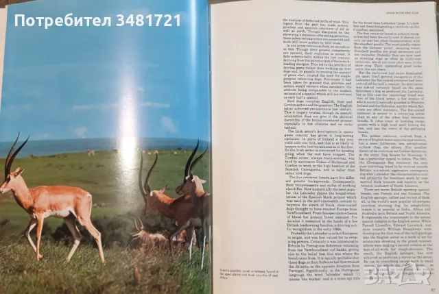 Голяма ловна енциклопедия / The International Encyclopedia of Shooting, снимка 7 - Енциклопедии, справочници - 49760438
