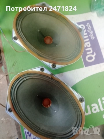 Български говорители 