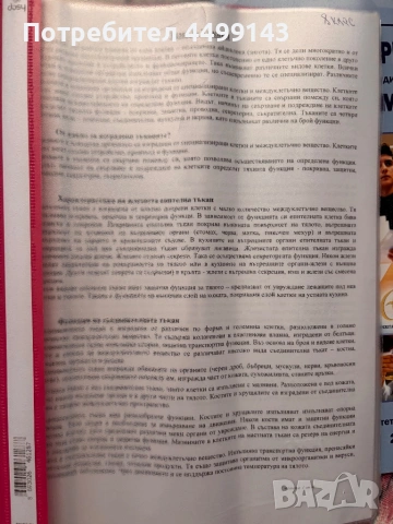 Материали за кск, снимка 2 - Учебници, учебни тетрадки - 54084155