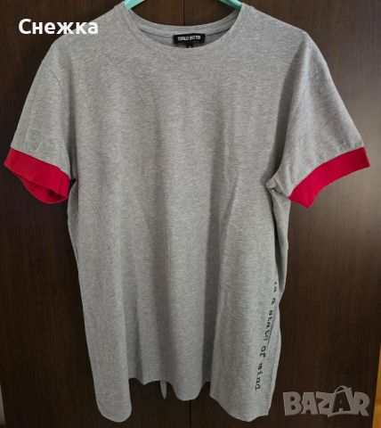 Мъжка тениска сива Totally Erected