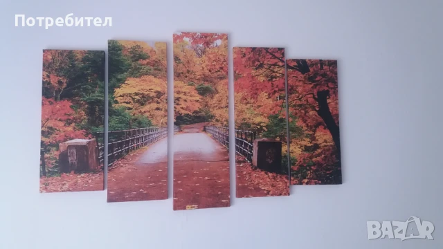 Картина, снимка 3 - Картини - 51297780