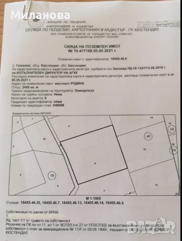 Продавам земеделска земя с.Гюешево., снимка 4 - Земеделска земя - 50913537