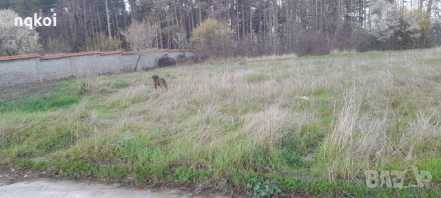 Продавам парцел в с.Великденче общ. Омуртаг