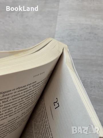 Злият крал| Холи Блек, снимка 9 - Художествена литература - 53721916