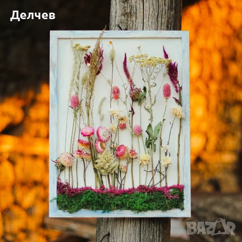 Пана и букети от сухи цветя, снимка 9 - Декорация за дома - 51338916