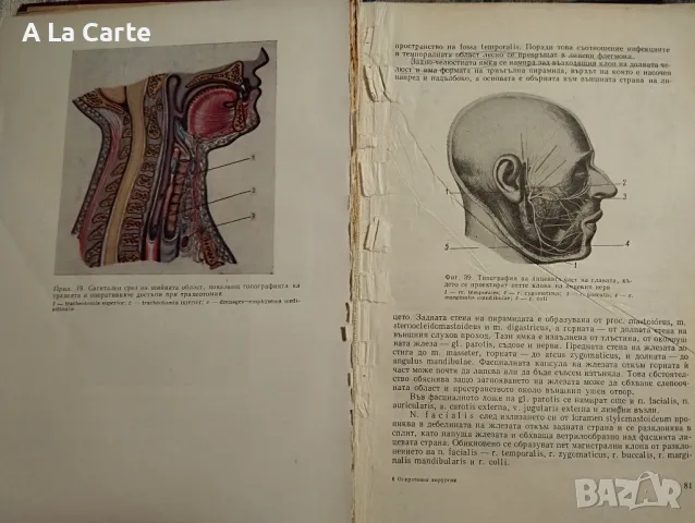 Оперативна хирургия с топографска анатомия , снимка 3 - Специализирана литература - 47999189