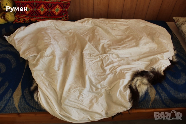 Естествени животински кожи за декорация, снимка 14 - Декорация за дома - 52545127