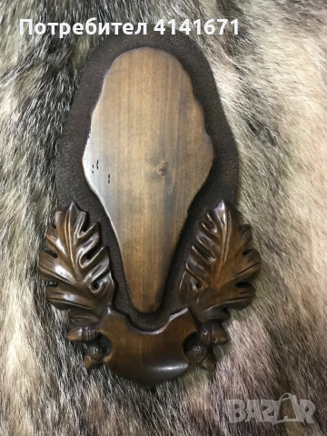 Поставки за ловни трофеи, снимка 4 - Оборудване и аксесоари за оръжия - 54237967