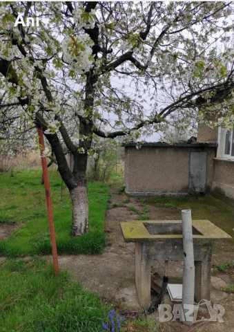 Къща в с. Беловец , снимка 5 - Къщи - 53661596