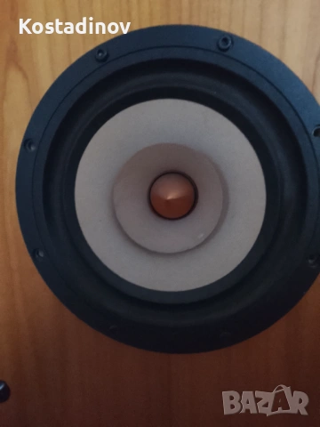 Широколентови хартиени говорители Tang Band W8-1808, снимка 2 - Аудиосистеми - 52743831