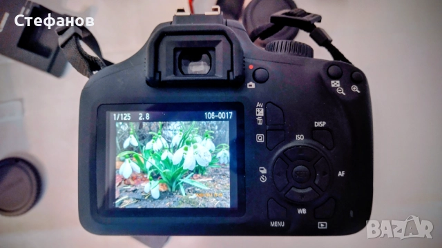 CANON EOS 4000D, снимка 7 - Фотоапарати - 52864004