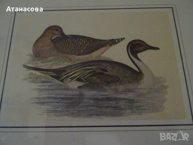 Декоративта картина с диви патици, снимка 4 - Картини - 54034307