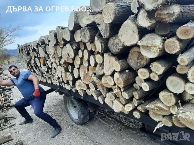 предлагам дърва за огрев метровки акация салкъм , снимка 3 - Дърва за огрев - 47775462